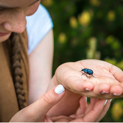 girl holding a beetle in her hand