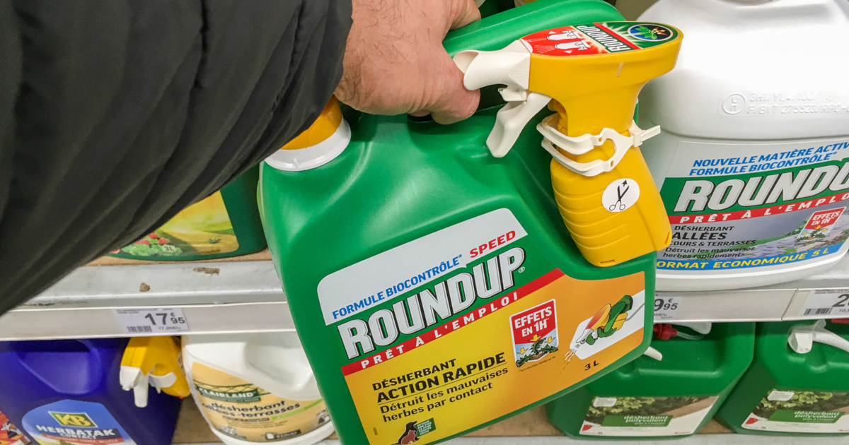 green bottle of Monsantos Roundup glyphosate herbicide being picked up off a store shelf