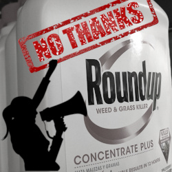 black and white bottle of Monsantos ROUNDUP herbicide with silhouette of protester with megaphone and red stamp that states NO THANKS