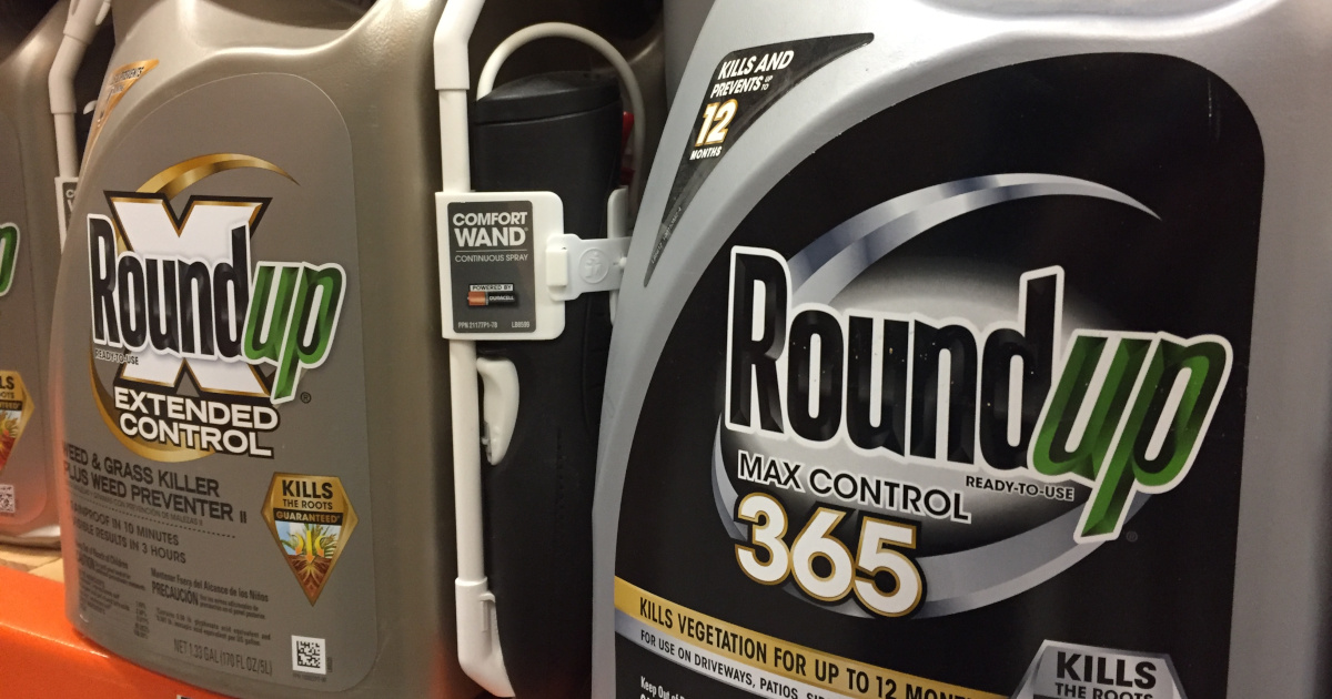 black and gold bottles of Monsantos glyphosate herbicide Roundup being sold on a store shelf