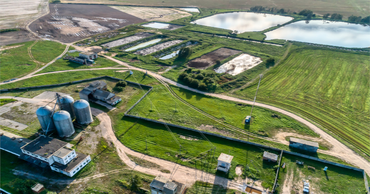 aerial view of a factory farm for pigs