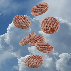 grilled hamburgers falling from the sky