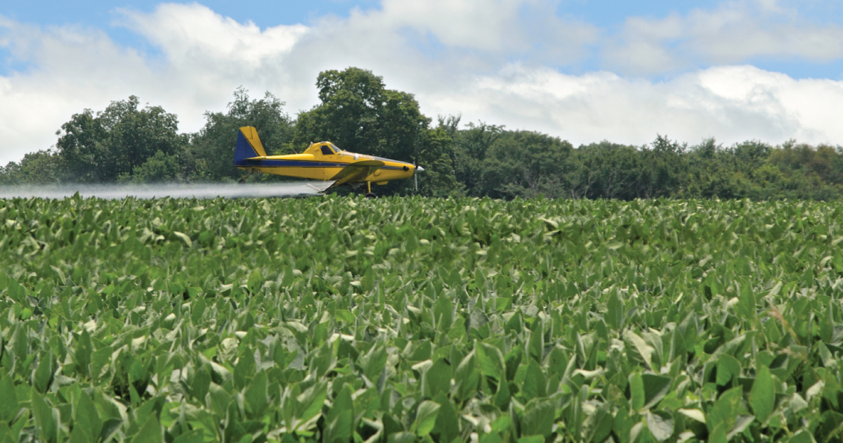 Plane spraying pesticides.