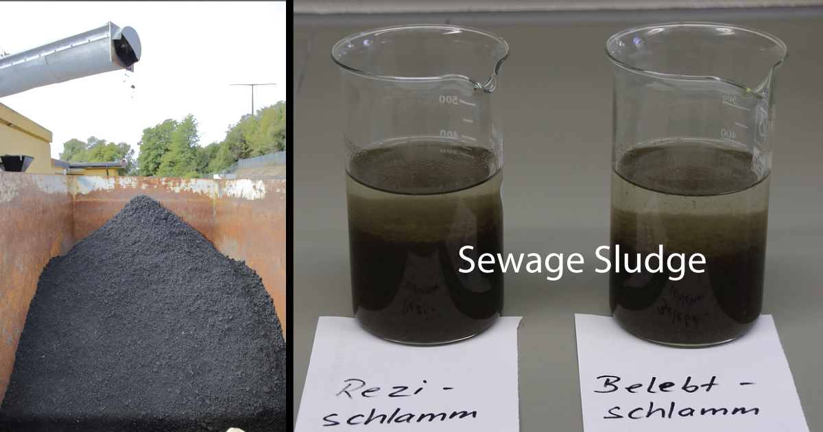 Sewage sludge