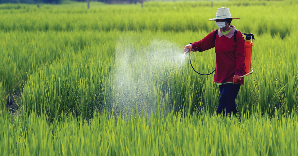 Person spraying pesticides.