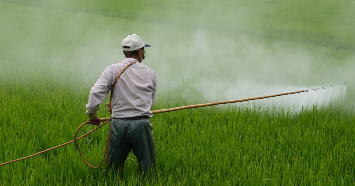 farmer applying pesticides in a farm crop field