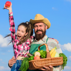 farmer and child with a basket of harvested vegetables on a farm field on a sunny day