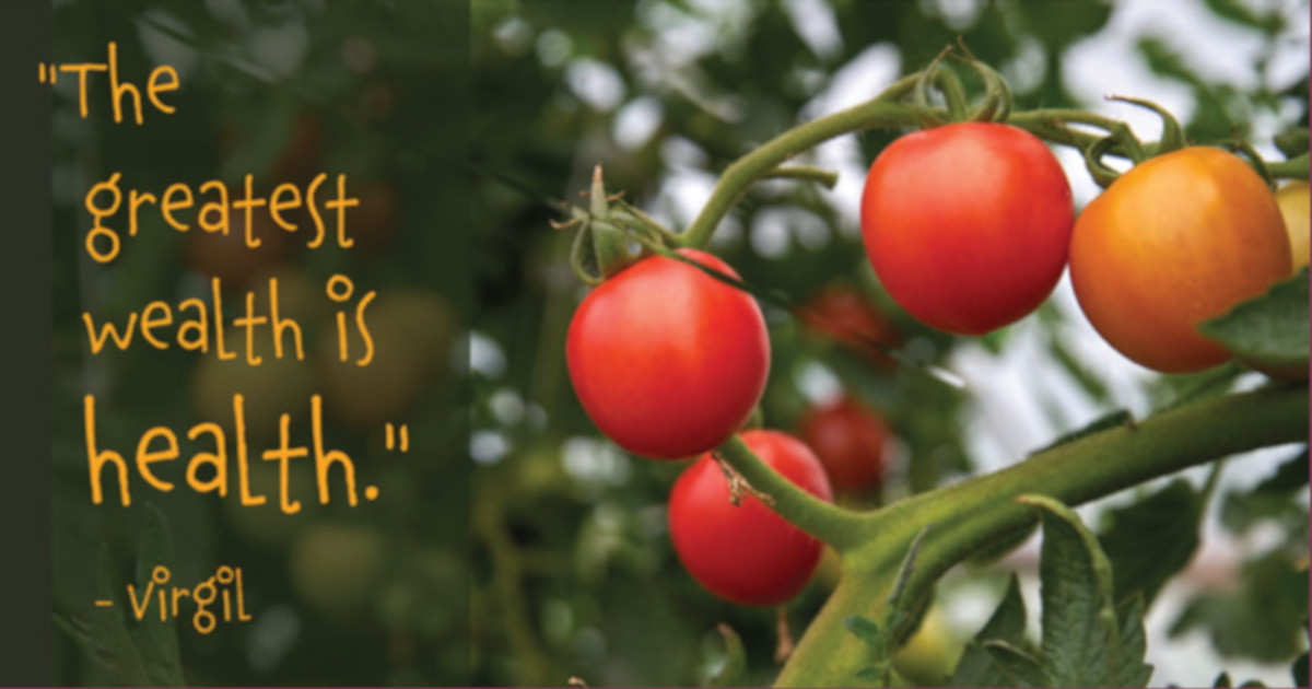 tomato plants growing red ripe vegetables and the quote from poet Virgil THE GREATEST WEALTH IS HEALTH