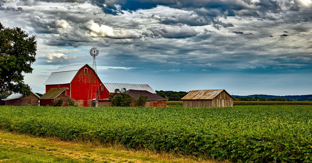 red barn on a farm with crop field of corn on a cloudy day