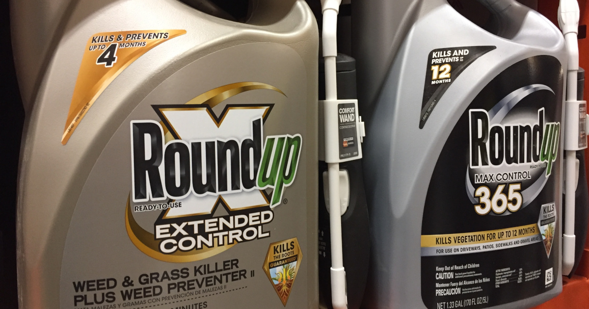 silver and gold bottles of Monsantos glyphosate herbicide ROUNDUP