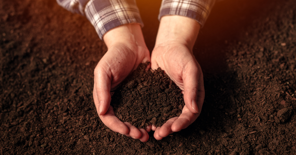 farmer in a flannel shirt holding a handful of deep brown colored soil