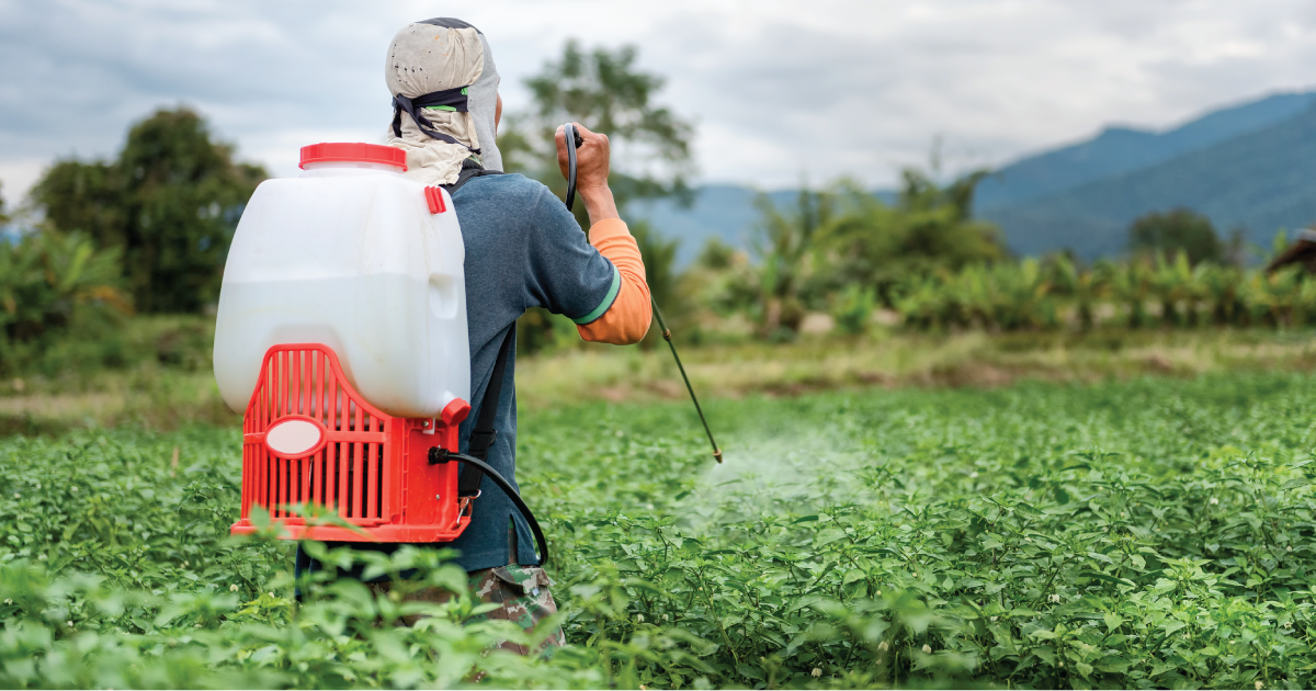 Man spraying pesticides.