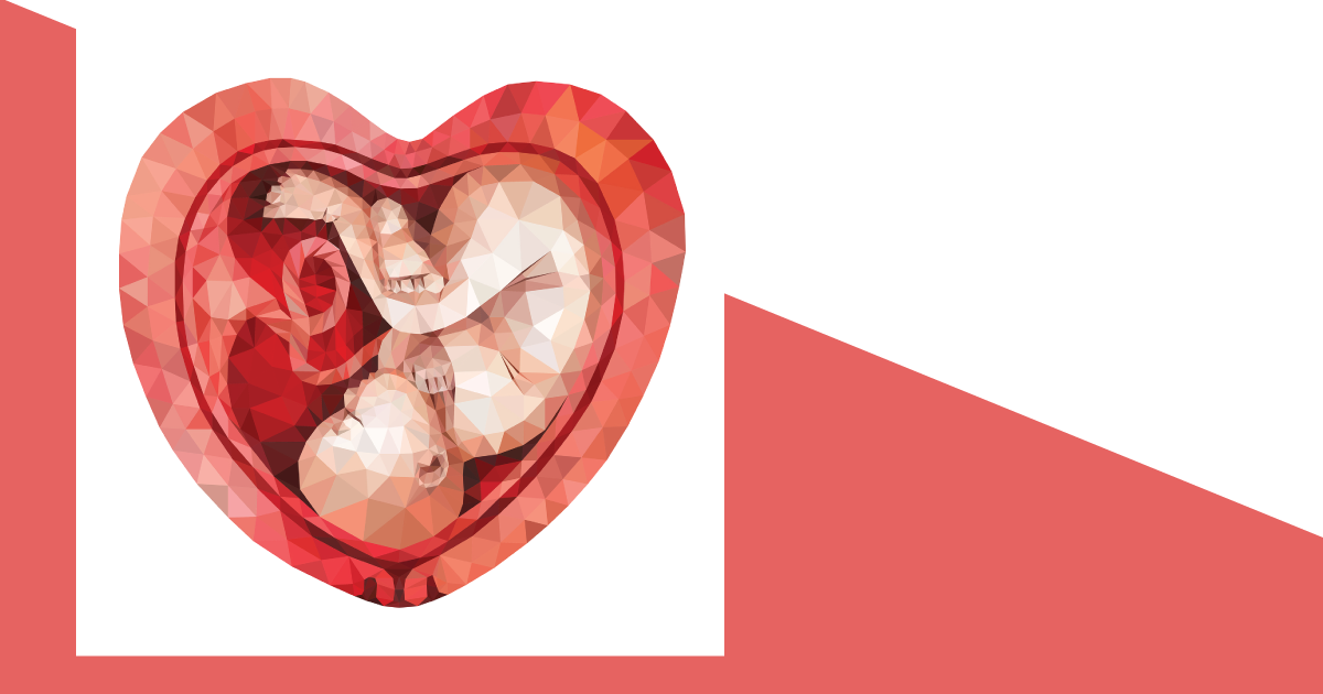 Baby in a heart shaped fetus.