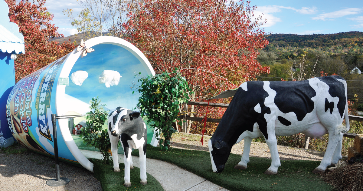 Plastic cows in a Ben and Jerry's display.