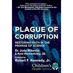 cover of the book PLAGUE OF CORRUPTION by Judy Mikovits