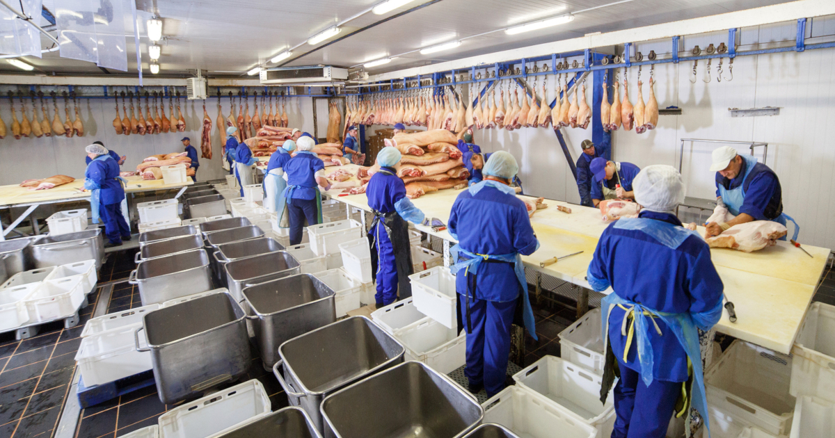 workers in a slaughterhouse butchering animals for meat sale