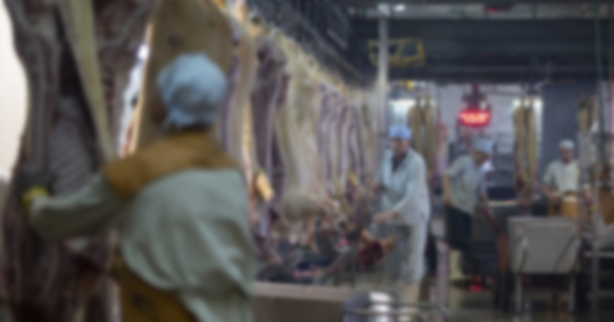 blurred image of the inside of a slaughterhouse