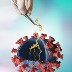 illustrative rendering of a coronavirus cell containing several DNA helixes being manipulated by a tweezers