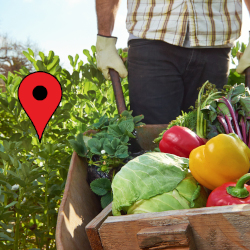 farmer with a wheelbarrow of harvested produce and a map location icon