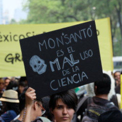 woman in a protest against Monsanto in Mexico holding a sign that says MONSANTO IS A POOR USE OF SCIENCE