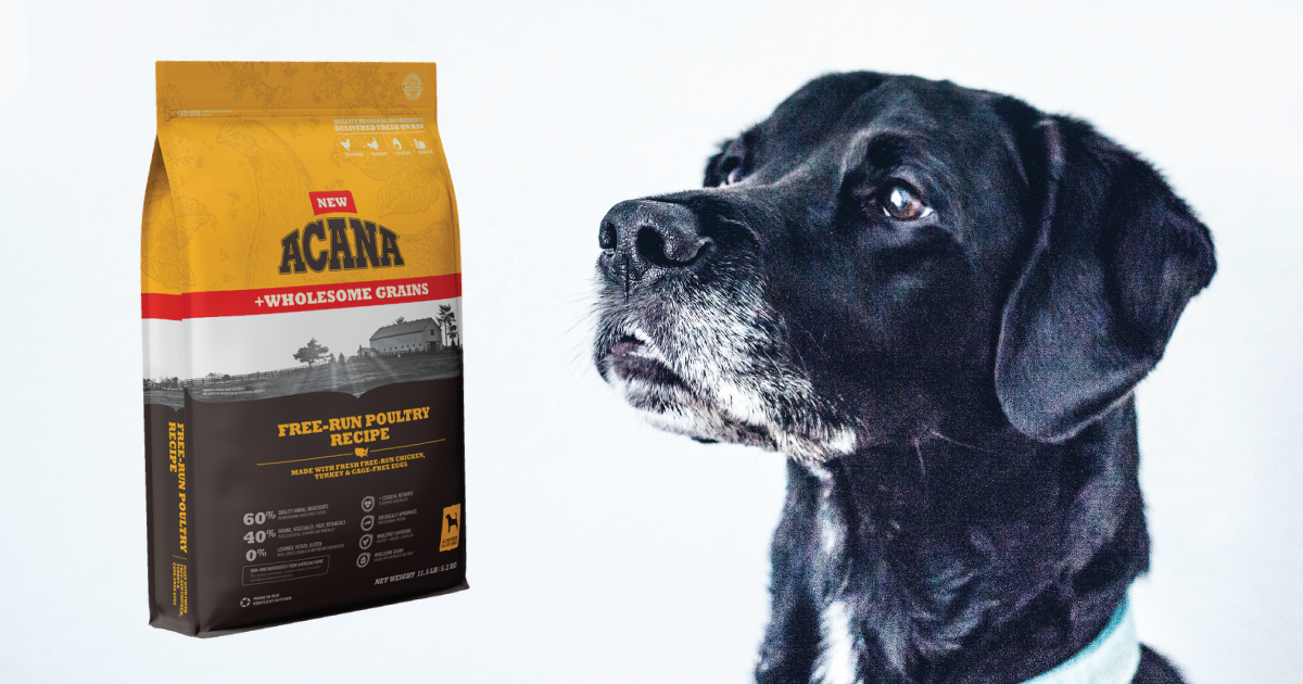 A photo of a package of Acana pet food next to the head of a black dog
