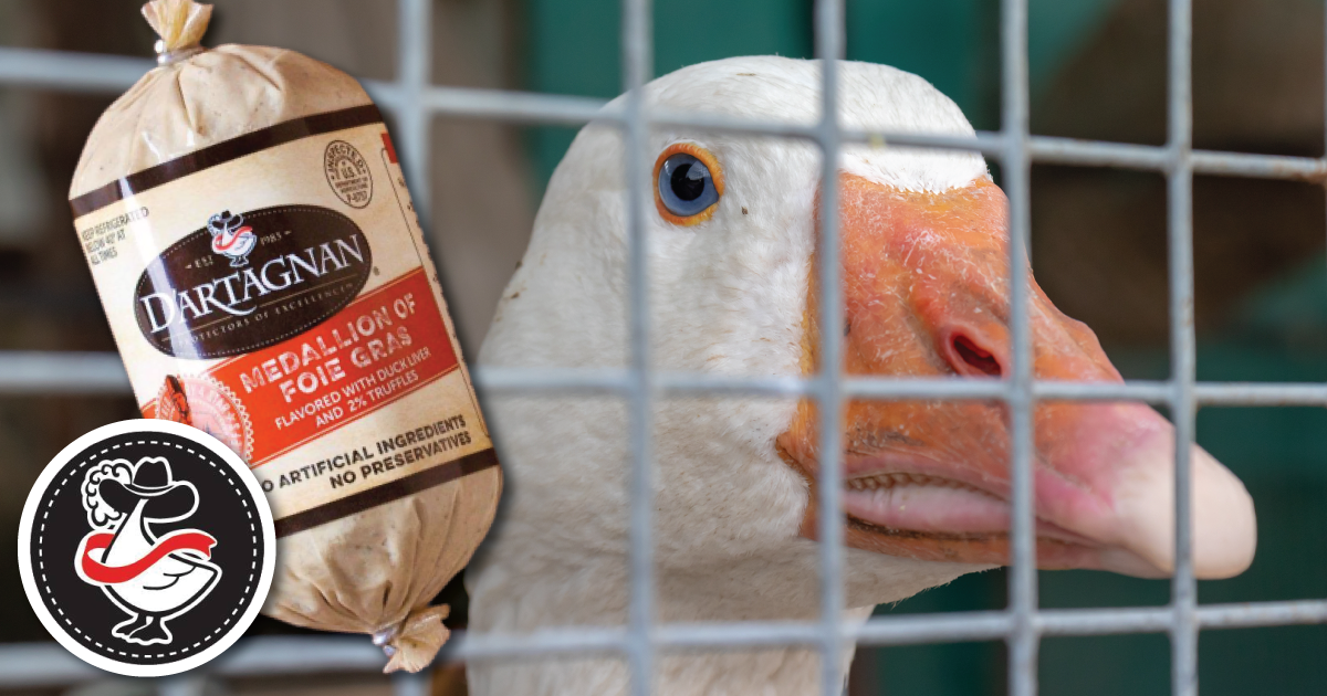 white colored goose with a DArtagnan package of foie gras