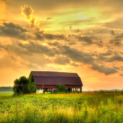 red barn on a farm field at sunset