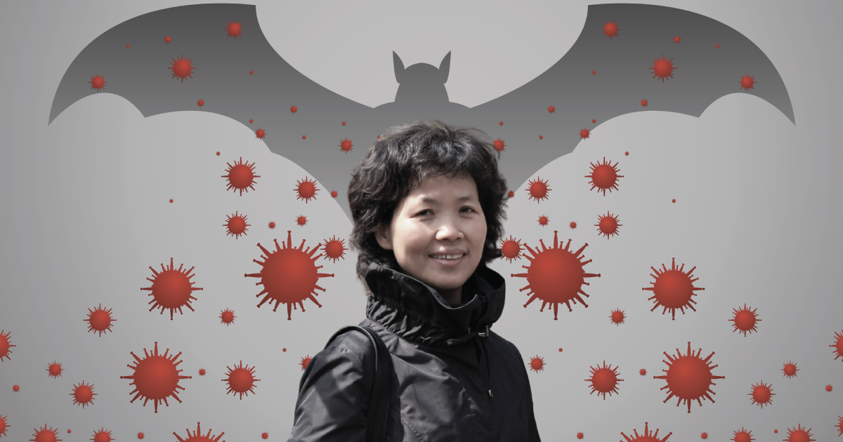 A photograph of Shi Zhengli over a background of a shadow of a bat and microscopic red viruses