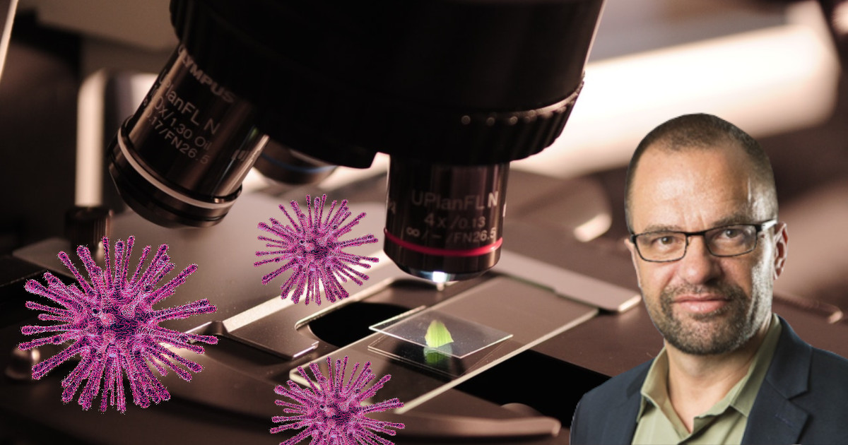 image of Daniel Voytas in front of a microscope with illustrative renderings of coronaviruses