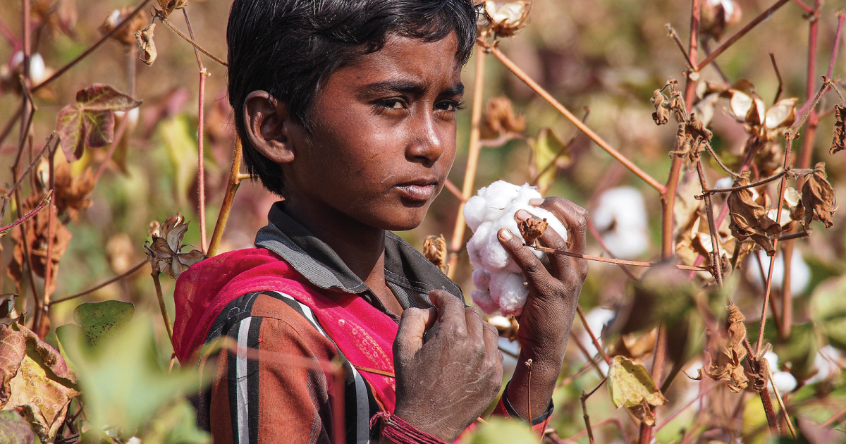 A child holding cotton.