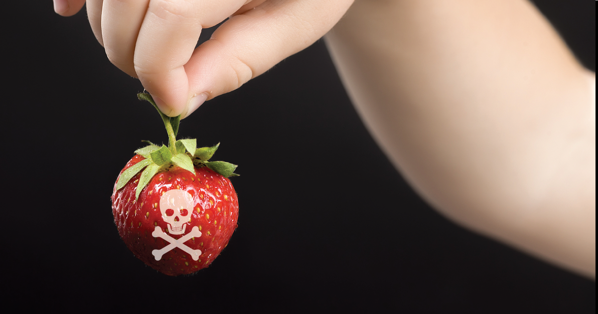 A strawberry with a skull and cross-bones on it being help by a child.