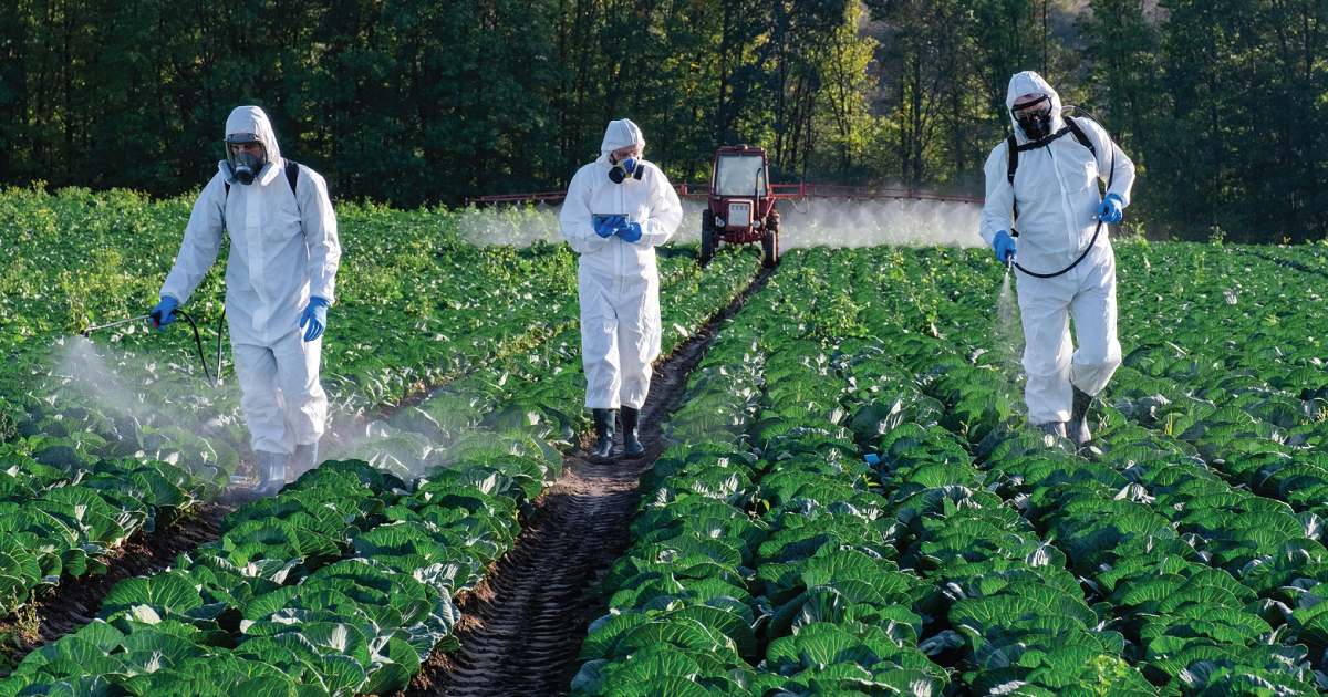 People spraying pesticides.
