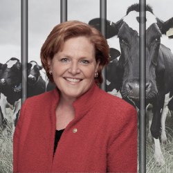 image of Heidi Heitkamp in front of a cafo cage of cattle