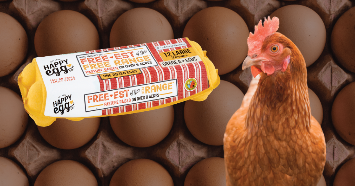 Happy egg packaging and a chicken near by its egg background.