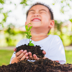 young boy with a seedling in soil in his hands