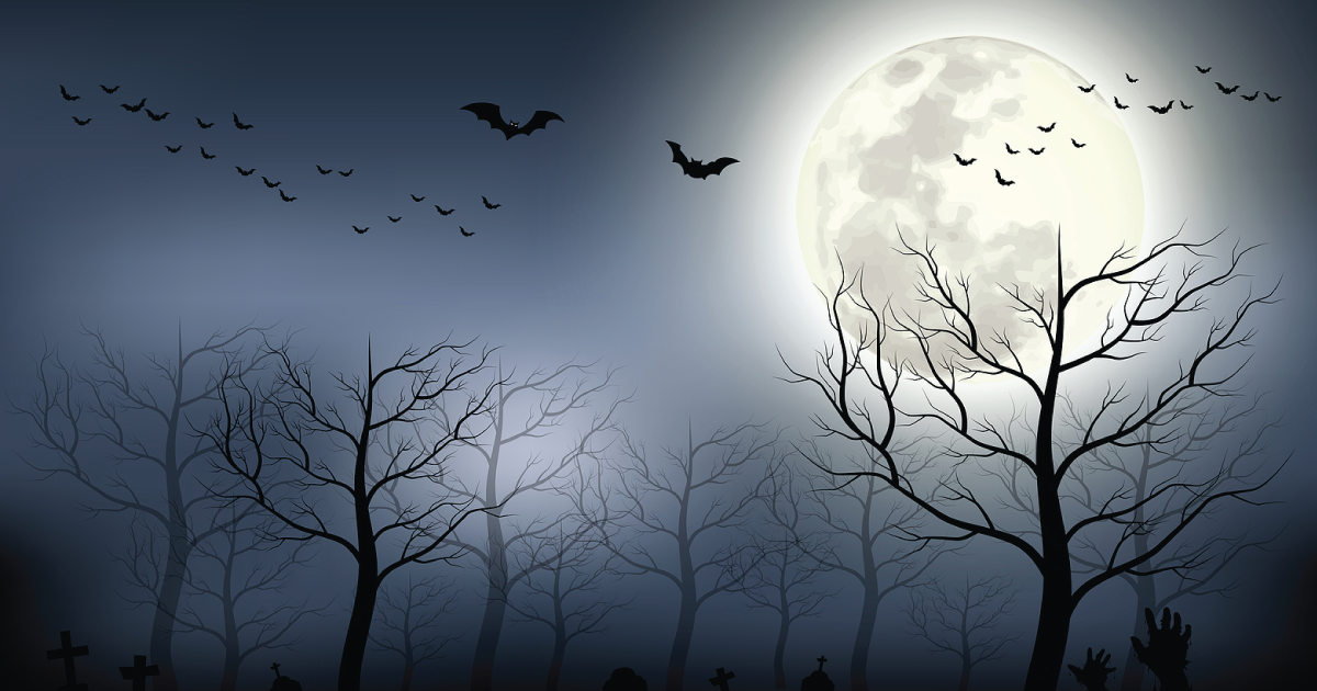 Bats, trees, and the moon at night.