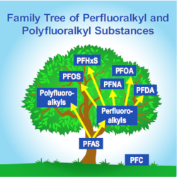 PFAS family tree