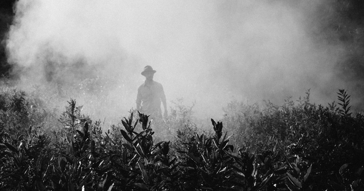 A person walking in a field surrounded by spray