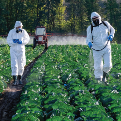 farmers in haz mat suits spraying a farm crop field with Monsanto Bayers Roundup glyphosate herbicide