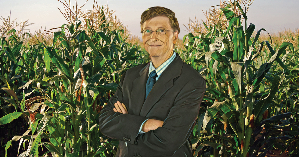 Bill Gates in front of a field of corn.
