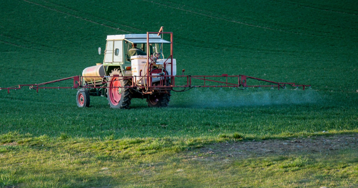 tractor on a farm field spraying pesticides on a crop of plants
