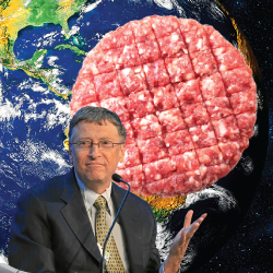 Bill Gates surrounded by fake meat burgers and a view of the planet Earth