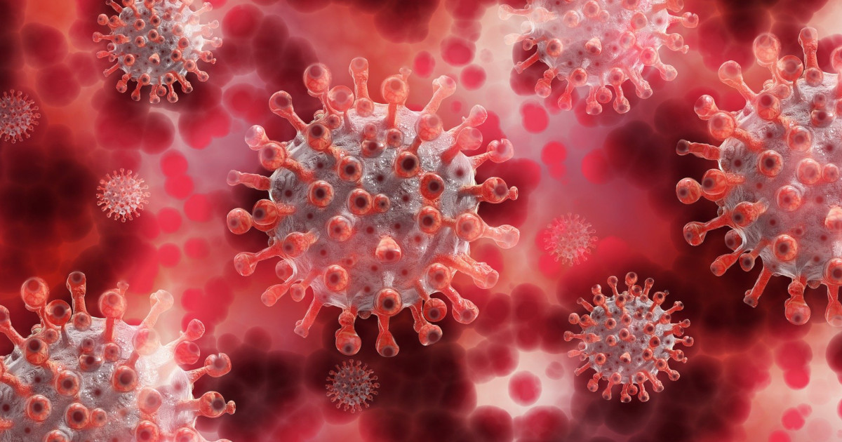 closeup of coronavirus