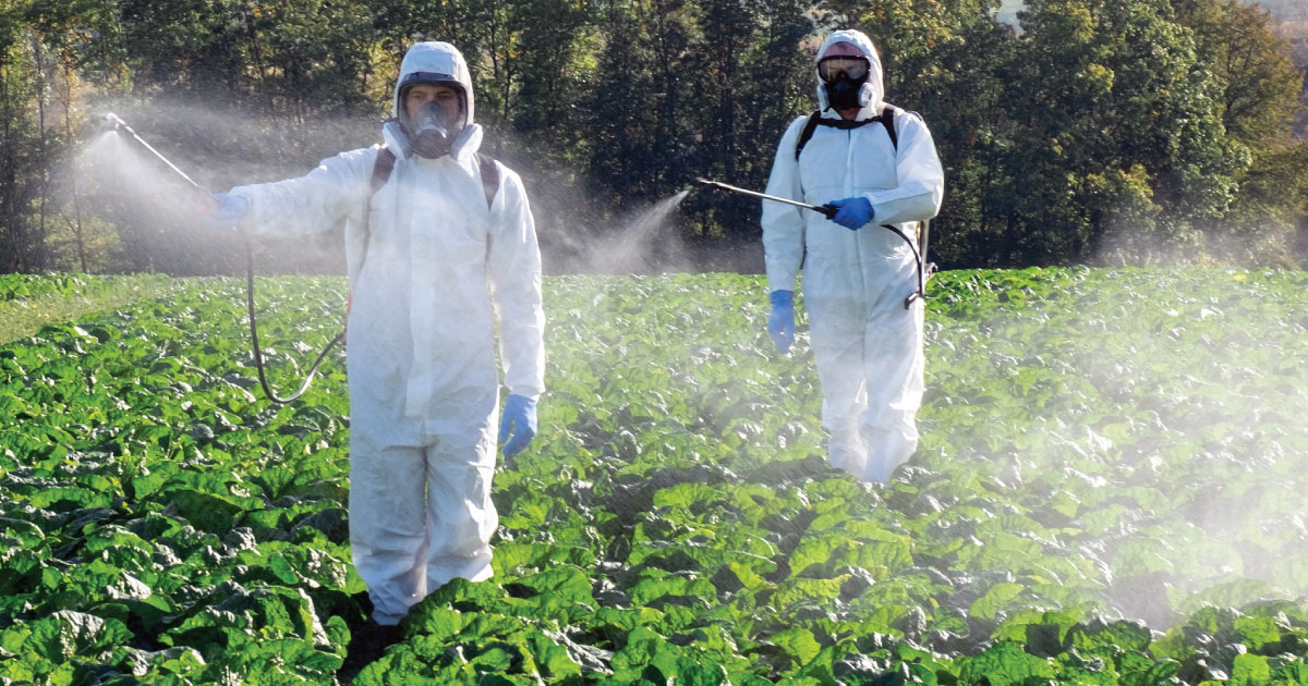 People spraying pesticides in hazmat suits.