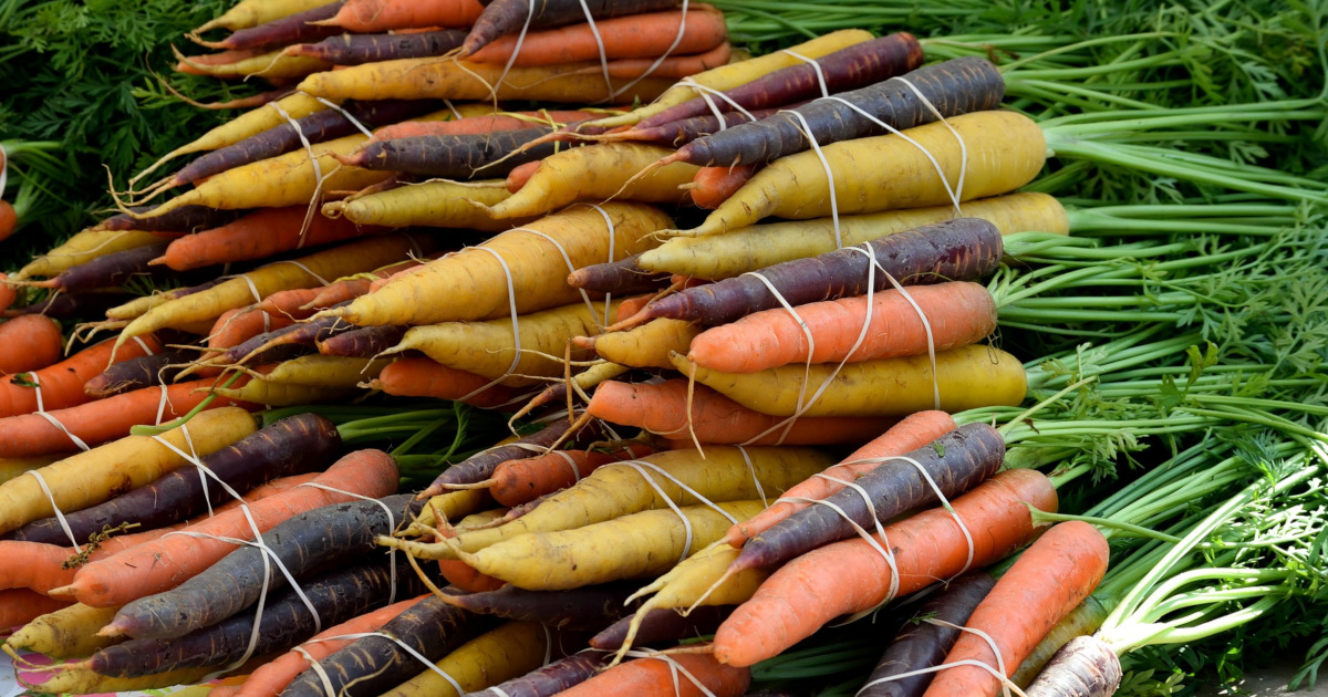 pile of multicolored carrots