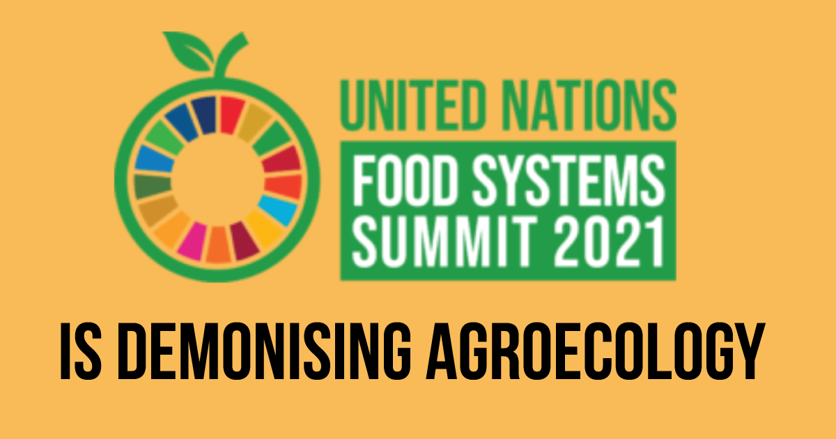 UN Food Summit is Demonising Agroecology