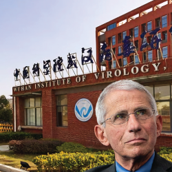 Anthony Fauci in front of the Wuhan Institute of Virology