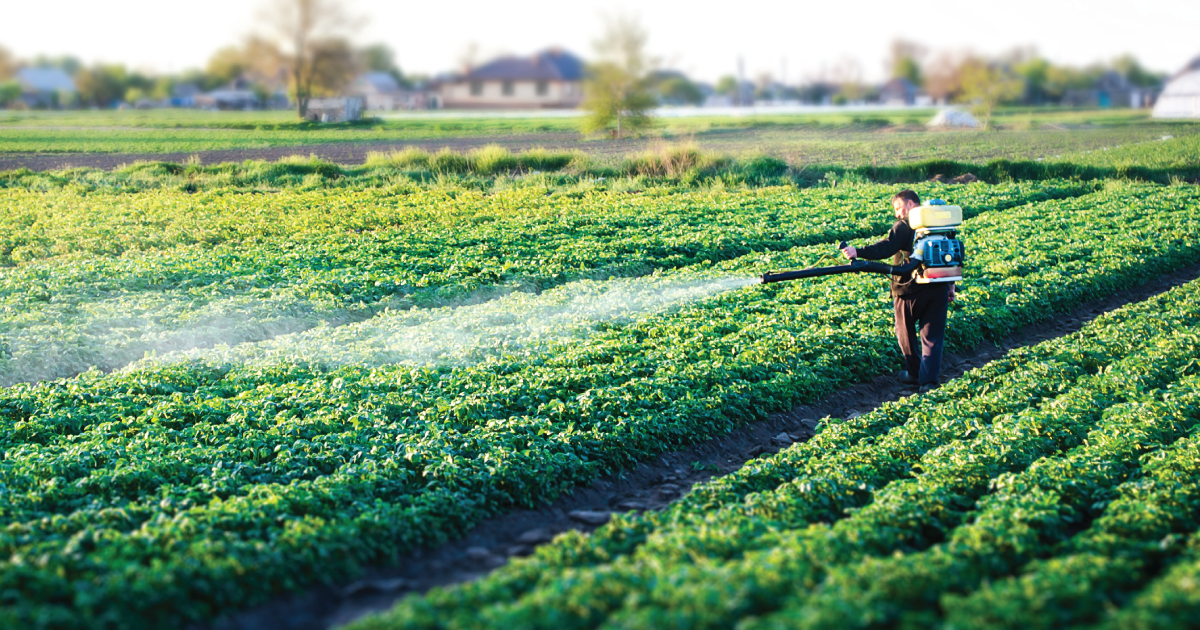 Person spraying pesticides.