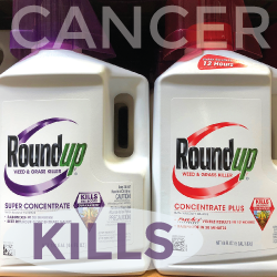 roundup_cancer_kills_250x250